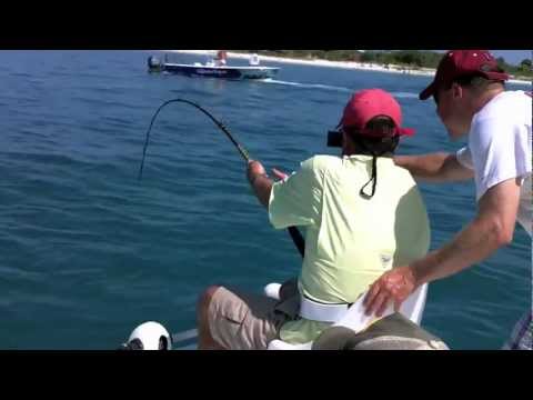 Team blackjack shark fishing lures